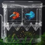 Pondoir pour 2 poissons