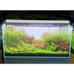 Led aquarium 20cm