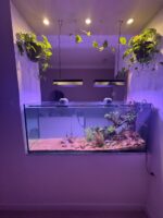 Week aqua z400 pro suspendu – Image 2