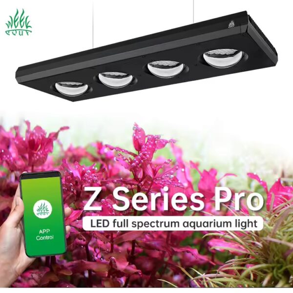 Week aqua z400 pro suspendu