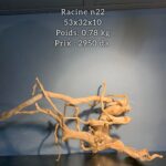 Racine n22