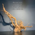 Racine n23