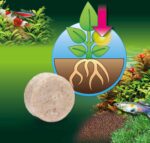 Ferropol 30 tabs – Image 5