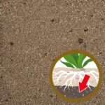 (Nutritif) Tetra complète substrate 5kg – Image 3