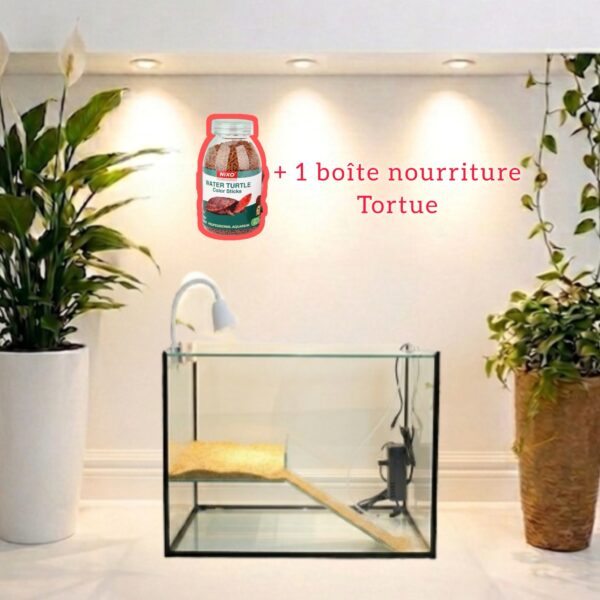 Pack Terrarium PM