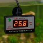 Thermomètre électrique